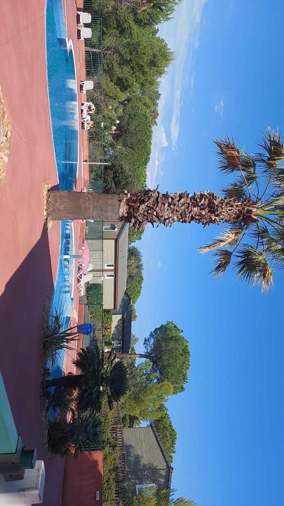 Chalet Cape Sur Le Mont Saint Loup *